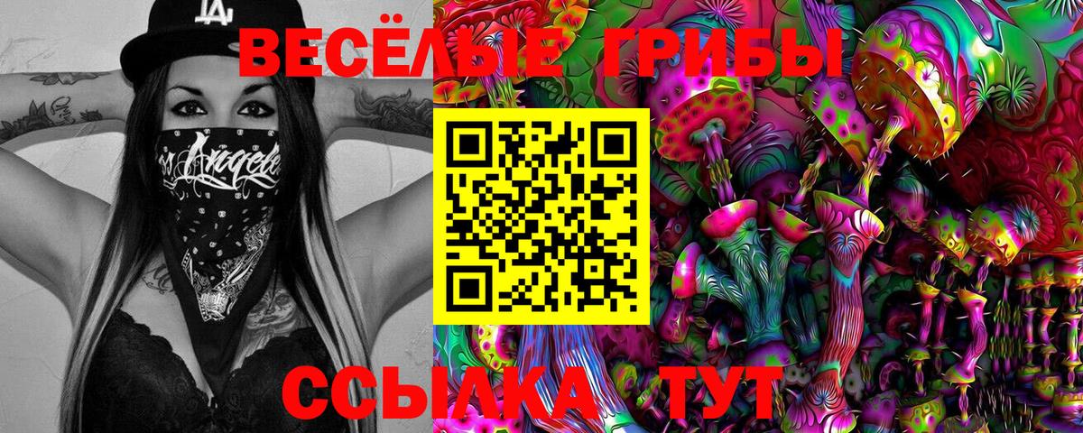 Псилоцибиновые грибы GOLDEN TEACHER  Вход с VPN  Энгельс  Псилоцибиновые грибы MAGIC MUSHROOMS 